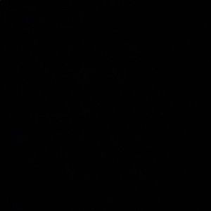 Meet your Posher, Joshua